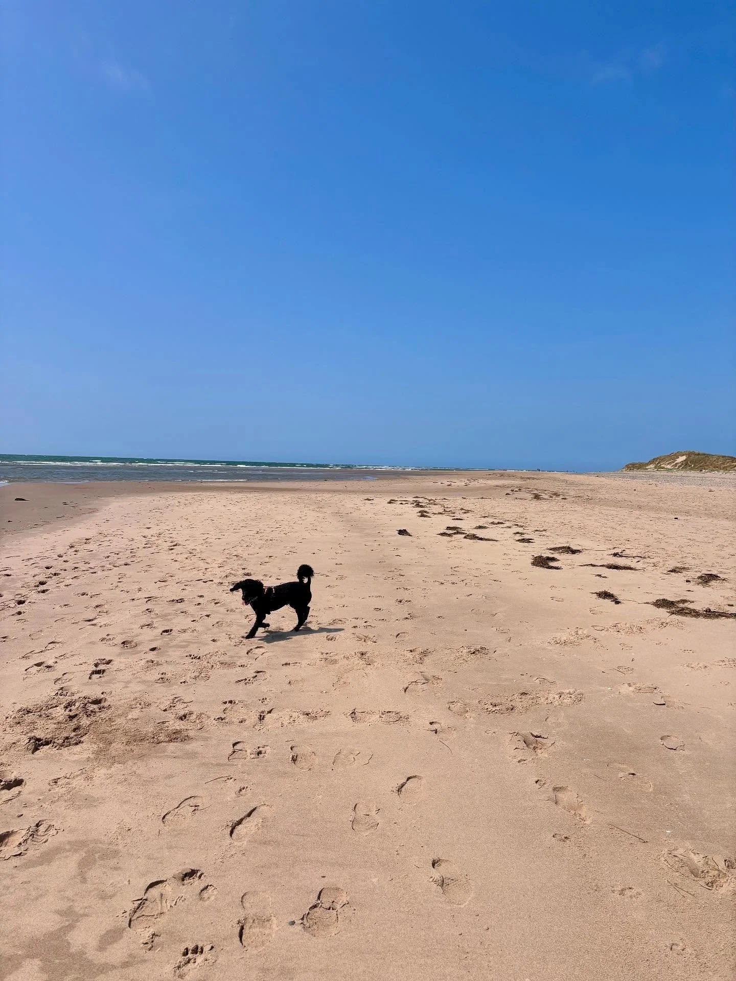 #aberdyfibeach just 40 minutes drive from the cottage.