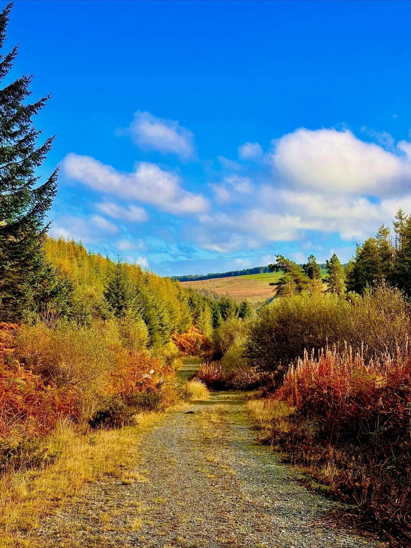 My favourite season 🍂