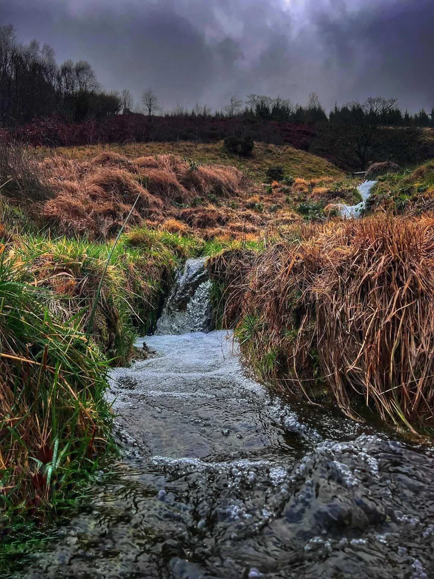 Thank you @richardcarford for this beautiful photo of our stream!