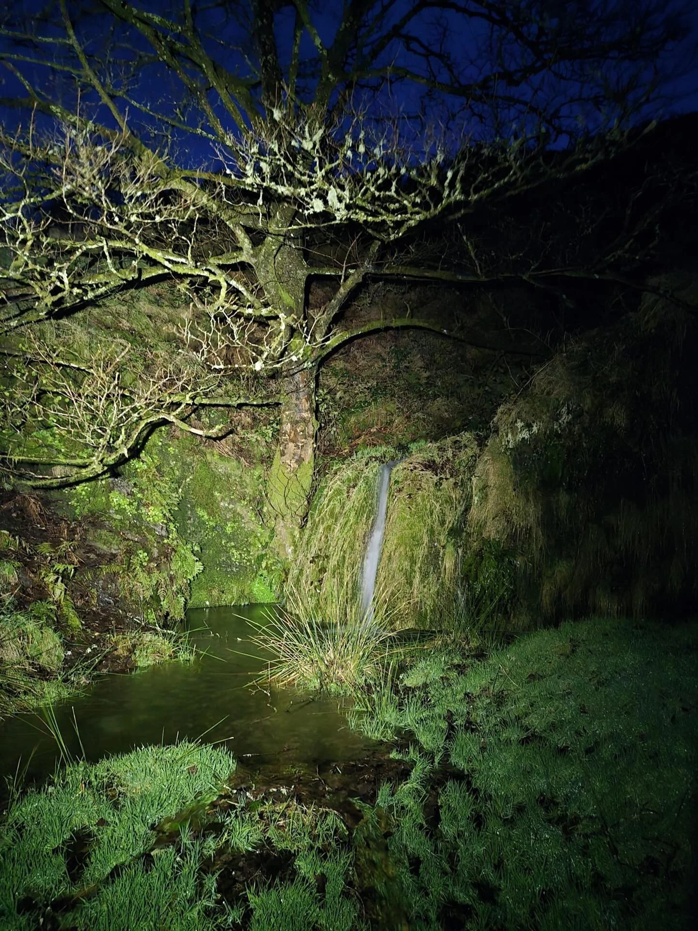 Never before seen on social media!  Mick&rsquo;s Dingle by torchlight! Isn&rsquo;t it beautiful 🤩 

📸 courtesy of @the_lunatic_labradors