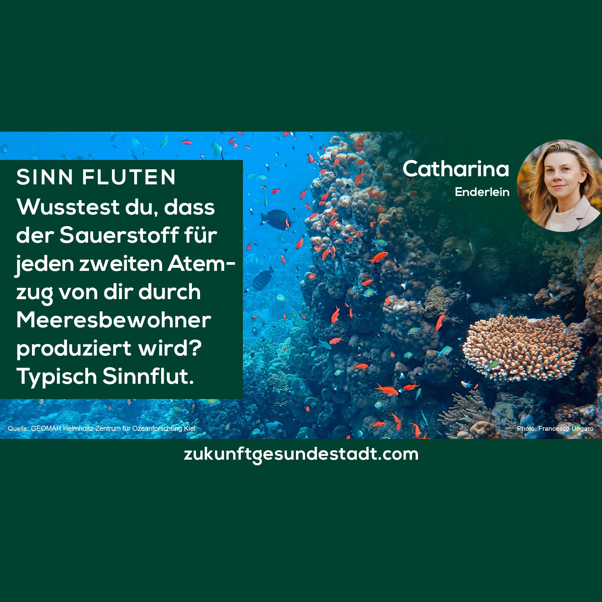 Das Meer: Unser Freund &amp; Helfer.