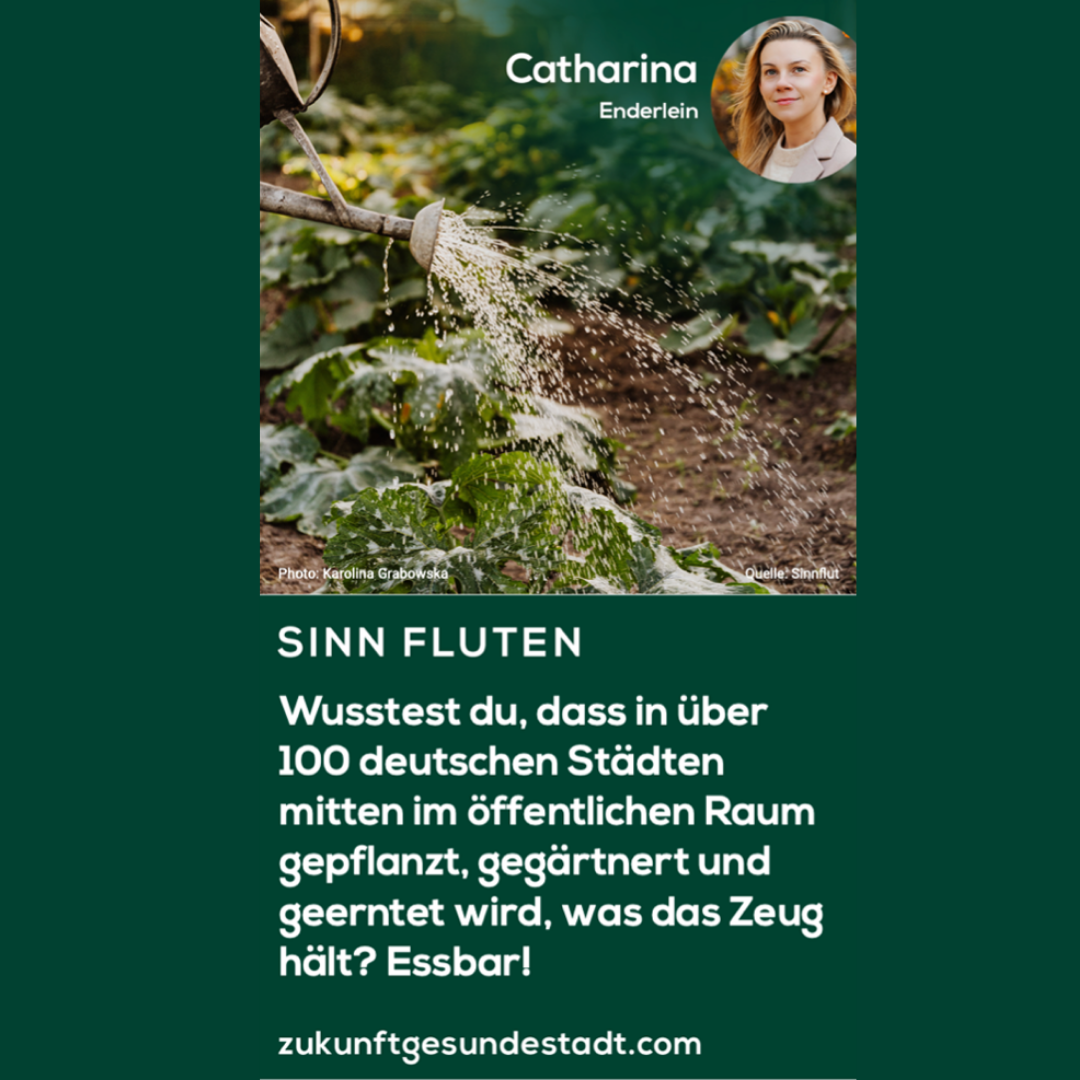 Essbare Städte: Pflanzen, ernten &amp; genießen.