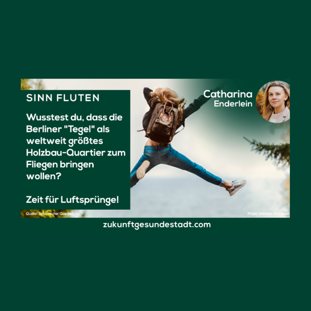 Natürlich Holz: Berlin-Tegel macht Luftsprünge.