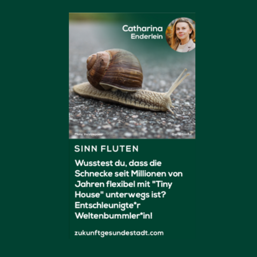 Millionen Jahre erprobt: Flexible “Tiny Houses”.