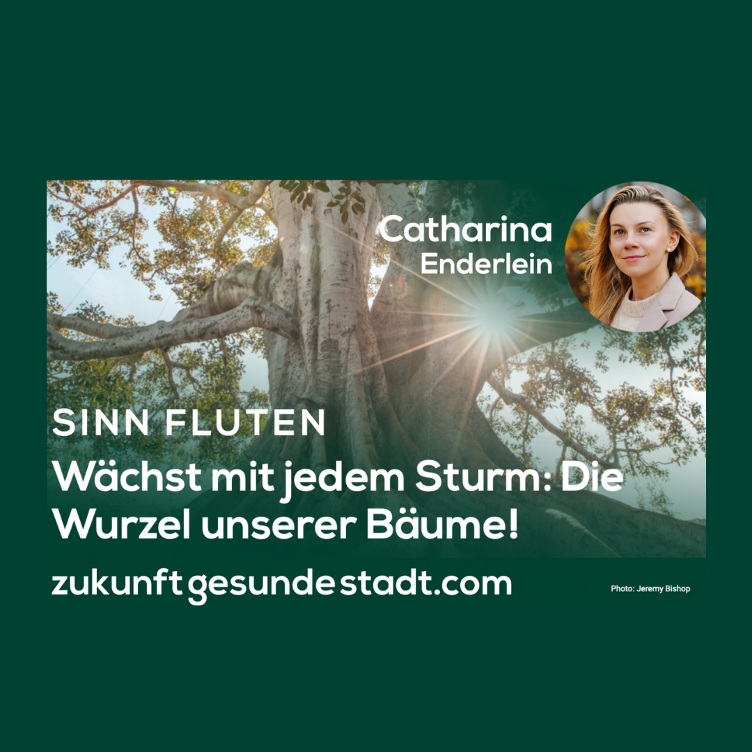 L'évolution: Starke Wurzeln wachsen im Sturm.