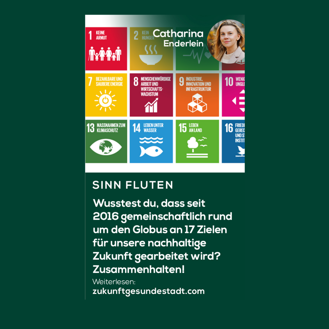 Für unsere nachhaltige Zukunft: 17 globale Gemeinschafts-Ziele.
