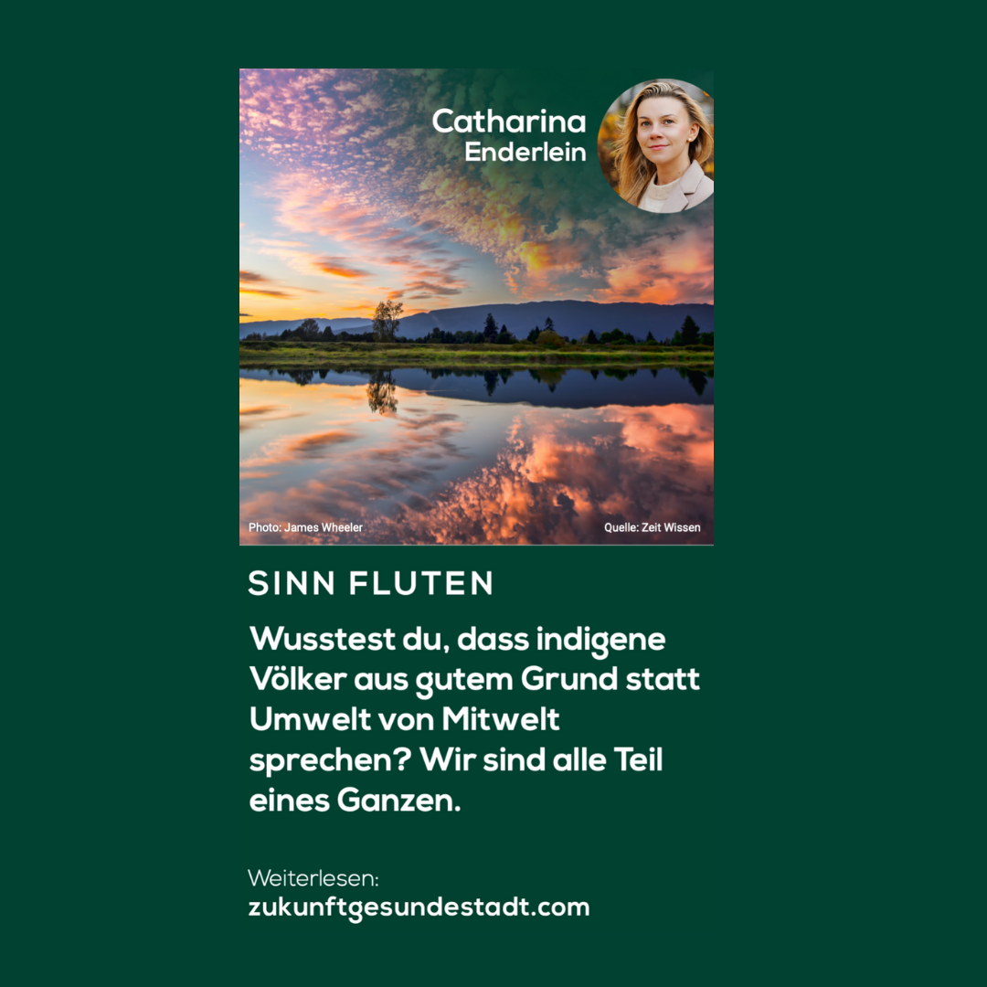 Von der Umwelt zur Mitwelt: Wir sind Teil eines Ganzen.