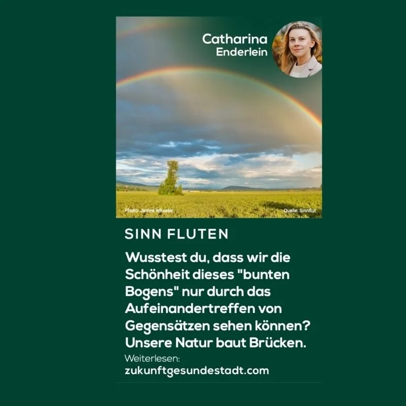 Unsere Natur baut Brücken: Bunte Bogen-Schönheit wird im Miteinander der Gegensätze sichtbar.