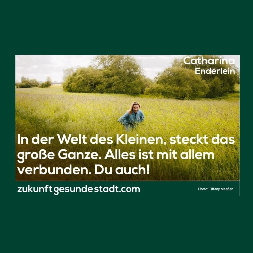 In der Welt des Kleinen, steckt das große Ganze. Hinsehen - wir sind alle verbunden.