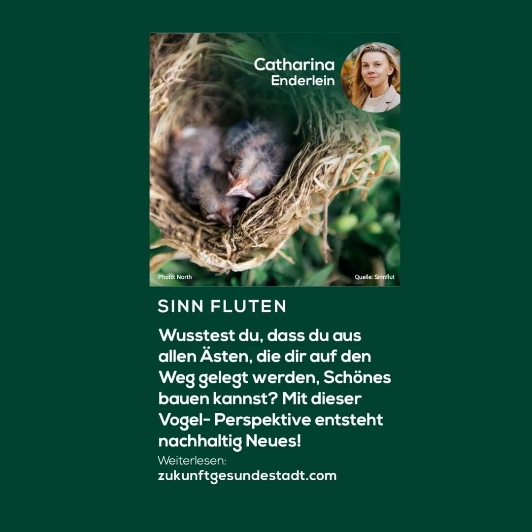 Vogel-Perspektive: Aus allen Ästen lässt sich Schönes bauen.