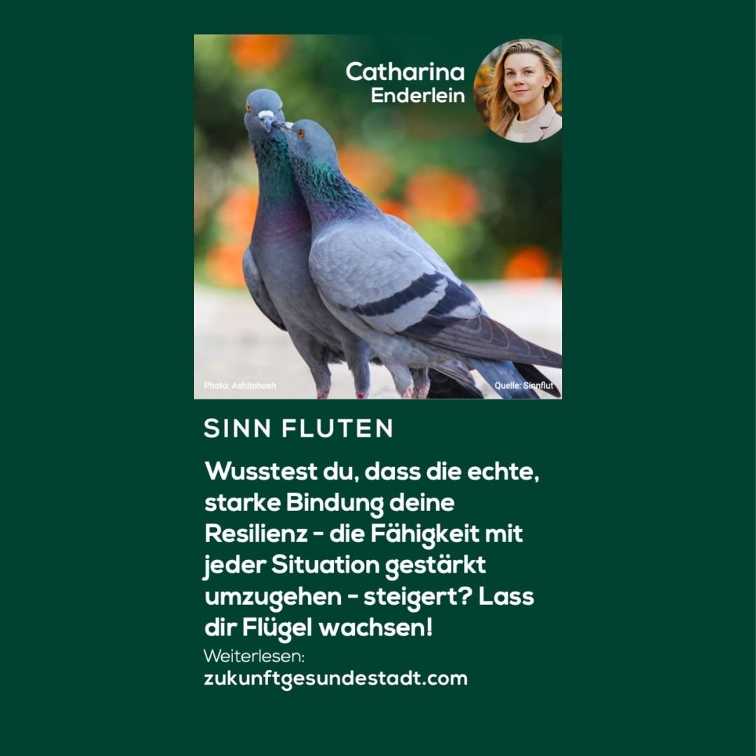 Resilienz zusammen lernen: Starke Bindungen machen den Meister!