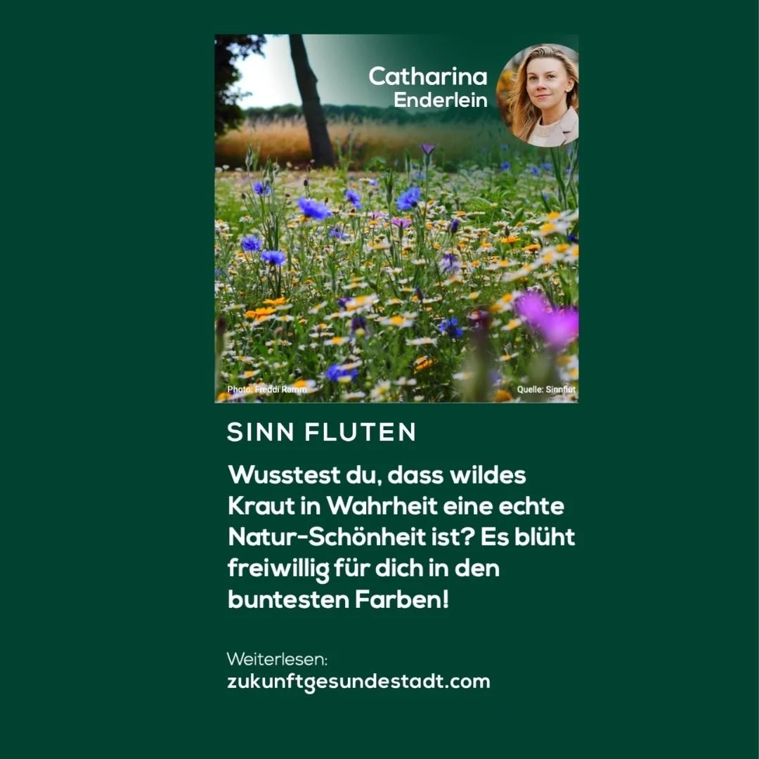 Bring es zum Blühen: Wild-Kraut ist echt und naturschön.