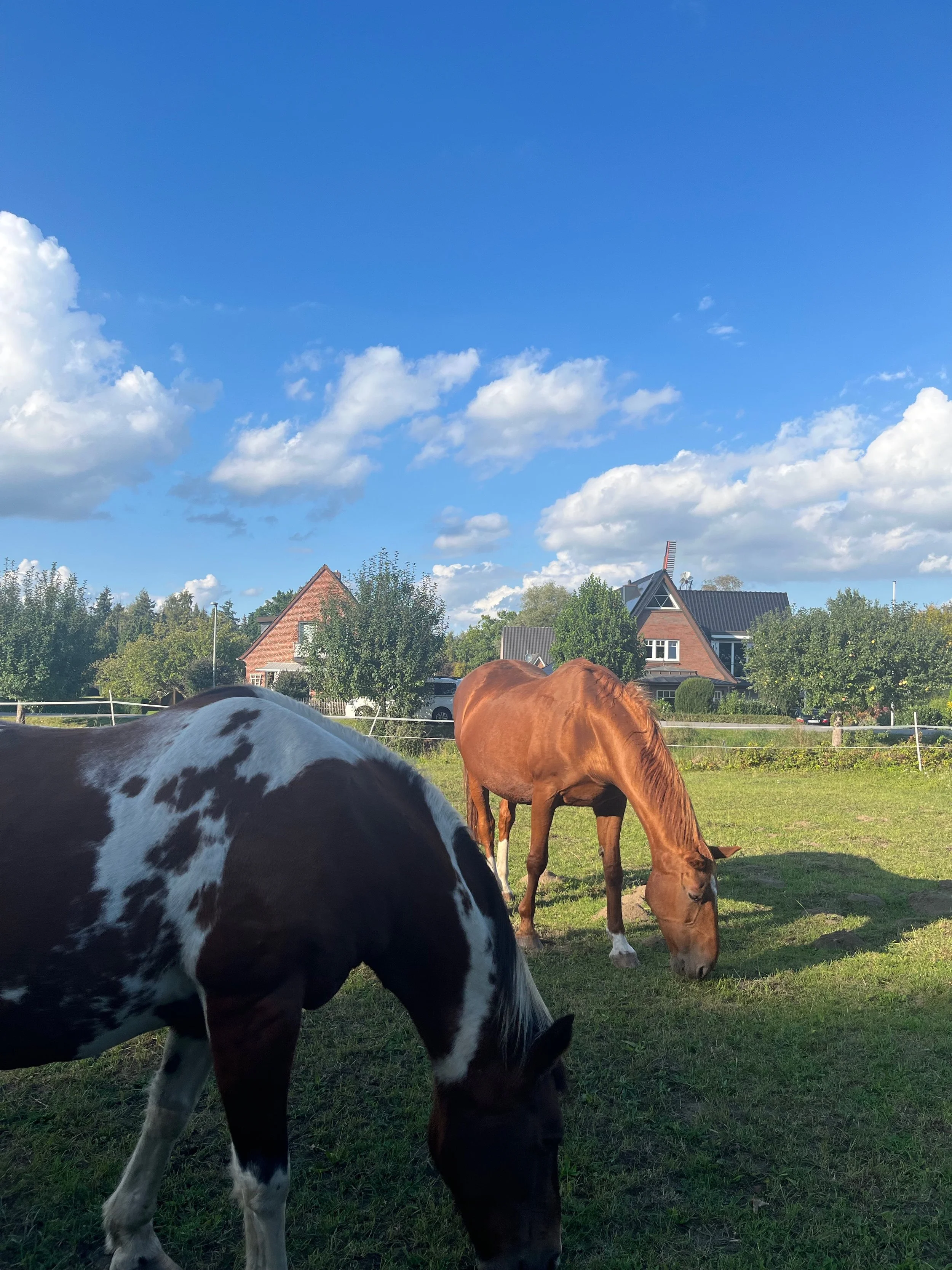 Hamburg: Stadt, Land, Fluss im Einklang!