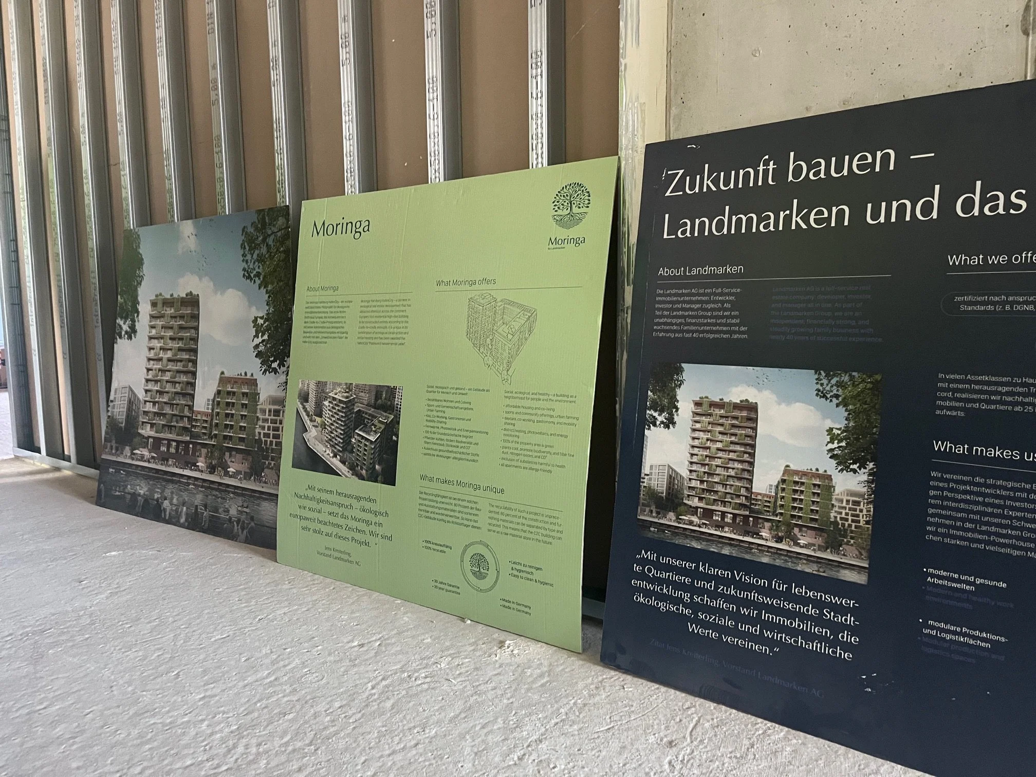 Nachhaltig: Moringa in der Hafencity!