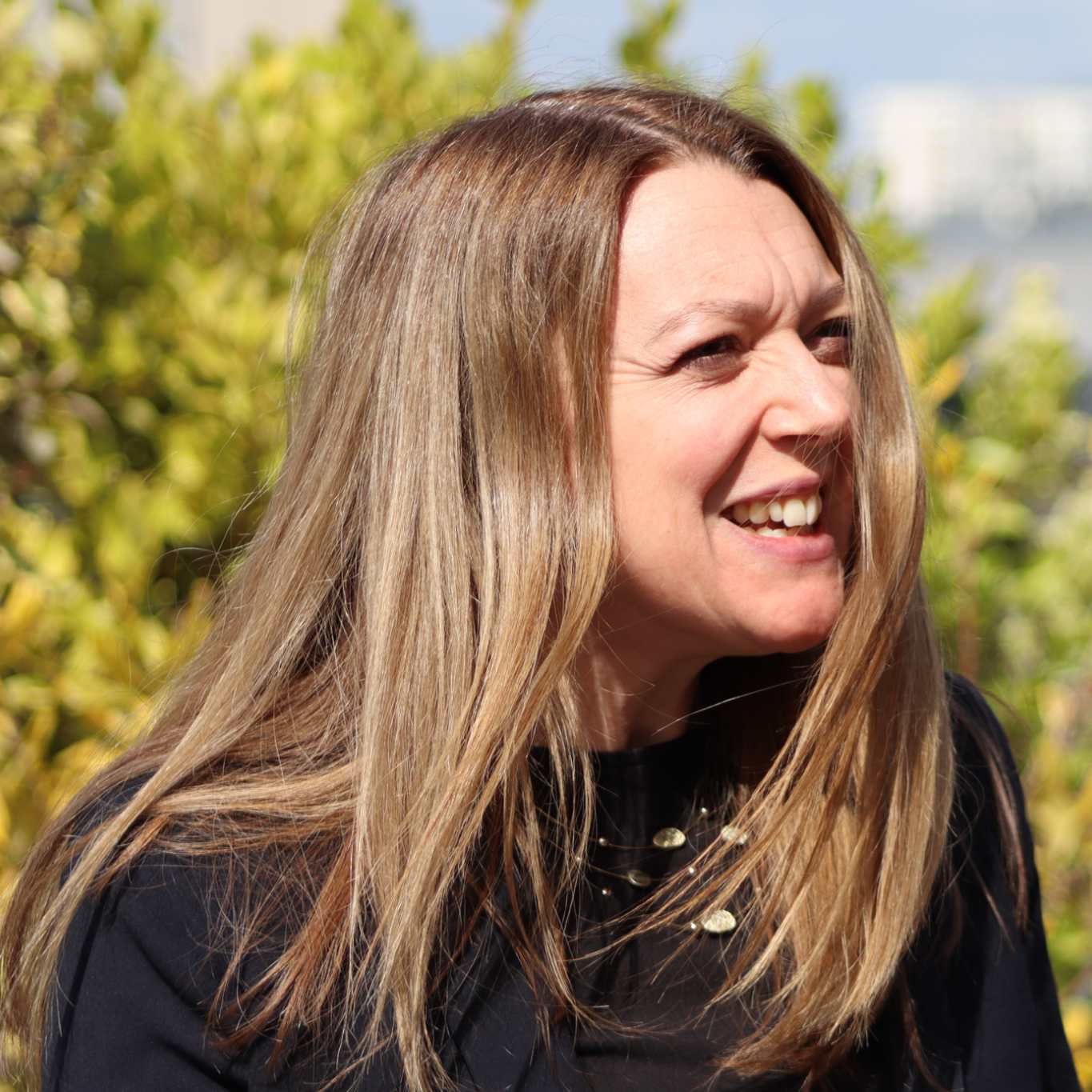 Charlotte Square.png