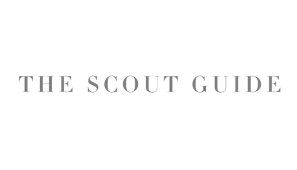 the scout guide.png