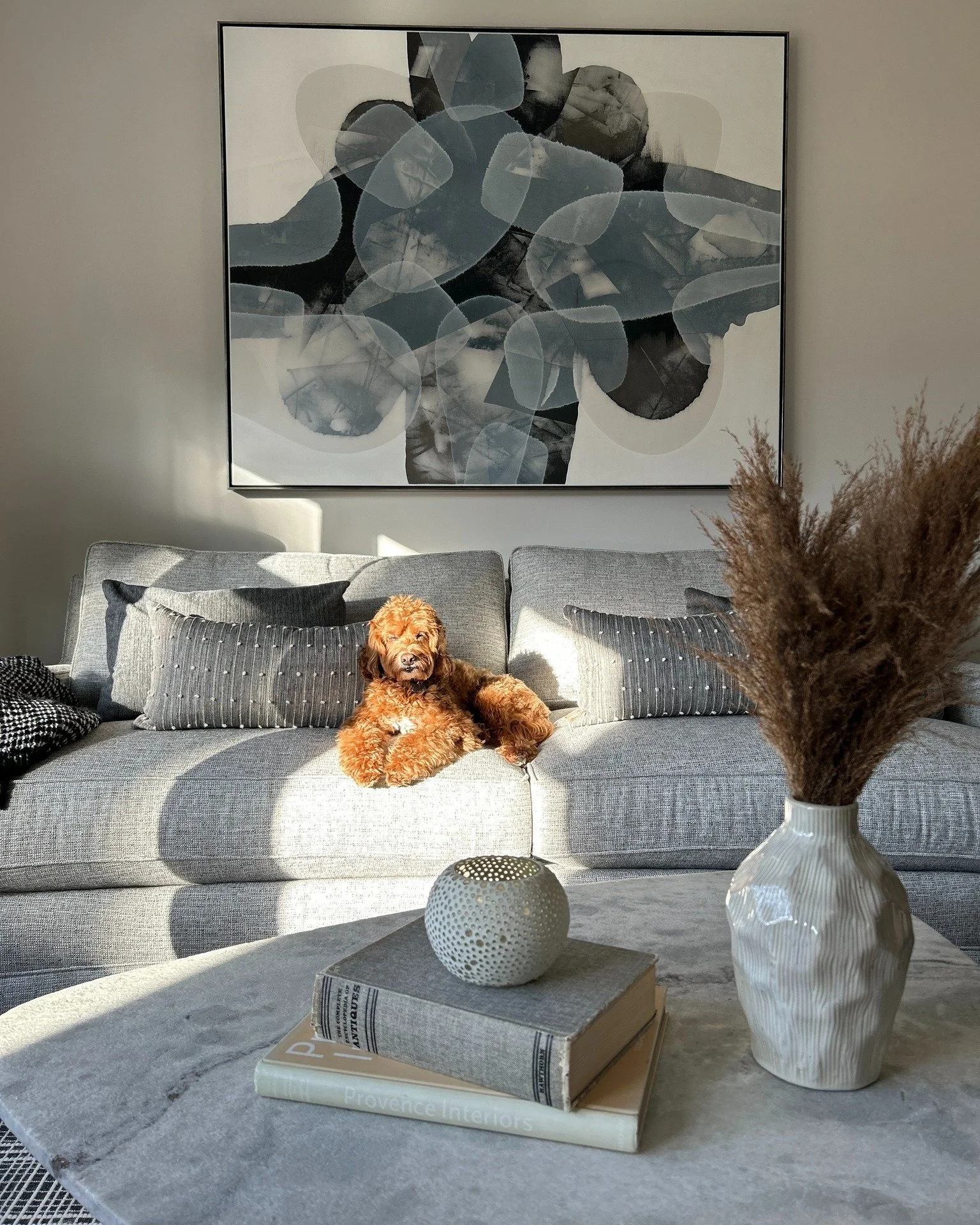 Although they might not be our main client, we can&rsquo;t forget about all of the furry friends we design for. Homes are as much theirs as they are the humans, which is why I will always suggest durable textiles &ndash; life is too short to worry ab