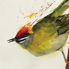 October Meeting: “45 in 45: Birds in Art”