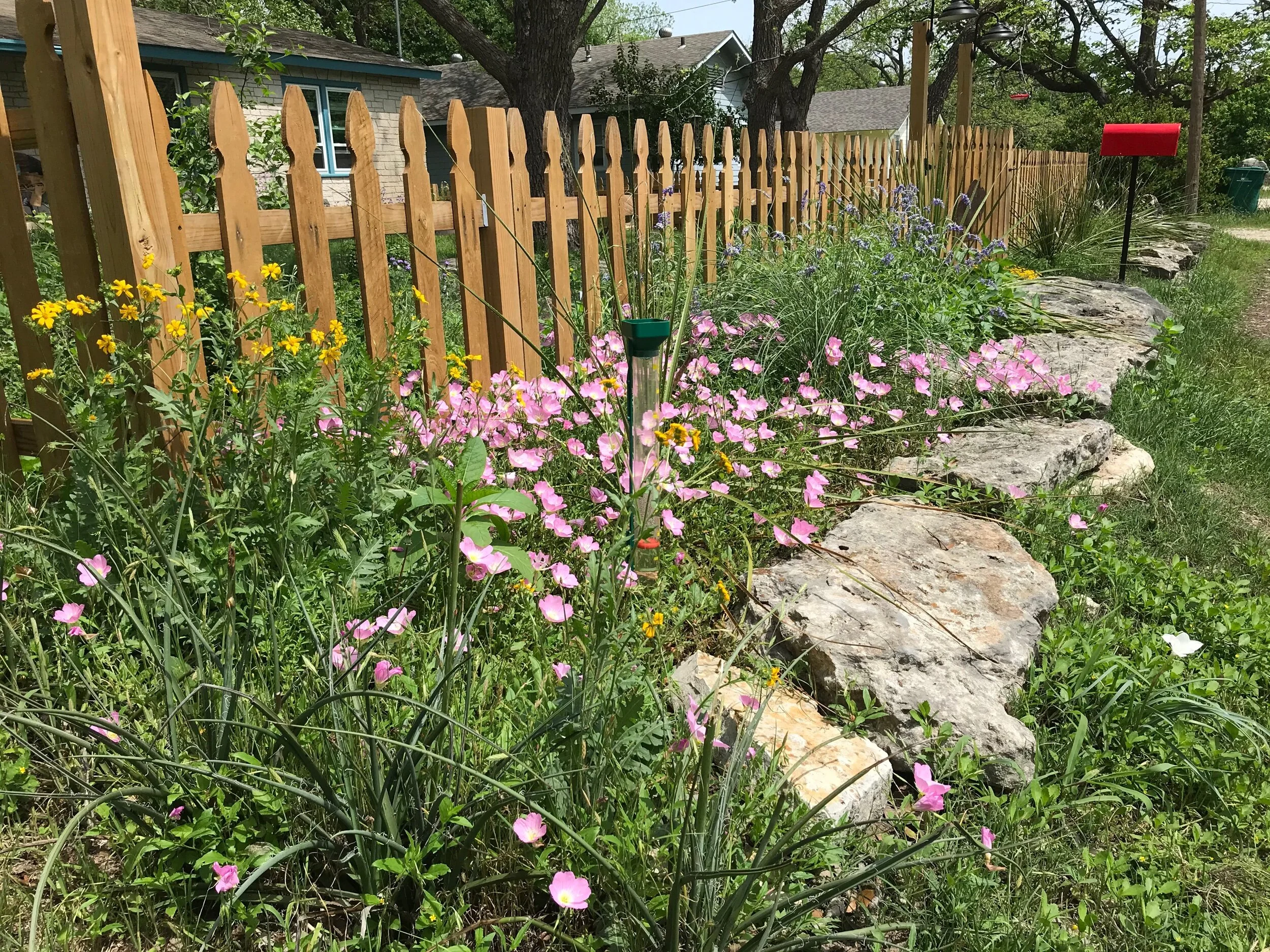 June Meeting: “Inviting the Natural World Back to a Suburban Yard: Yes We Did!”