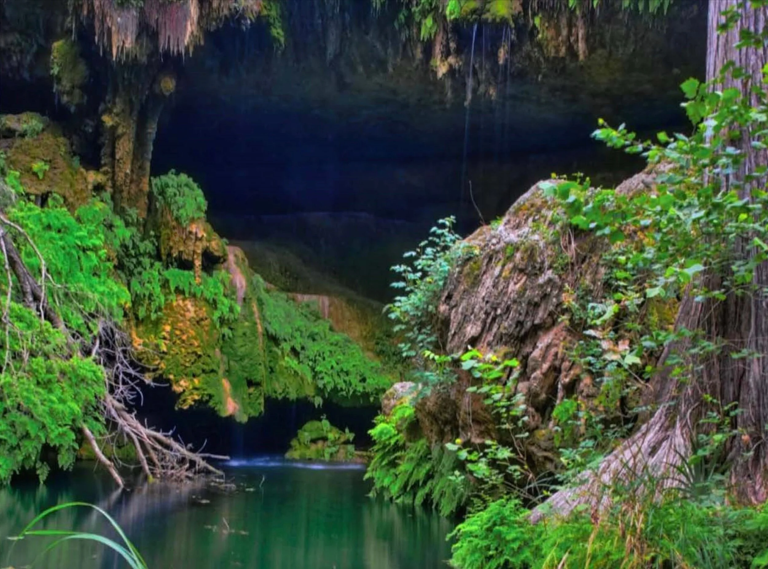 September Zoom Meeting: “Westcave Preserve,  an Outstanding Example of Environmental Protection by Local Communities and Non-Profit Organizations”