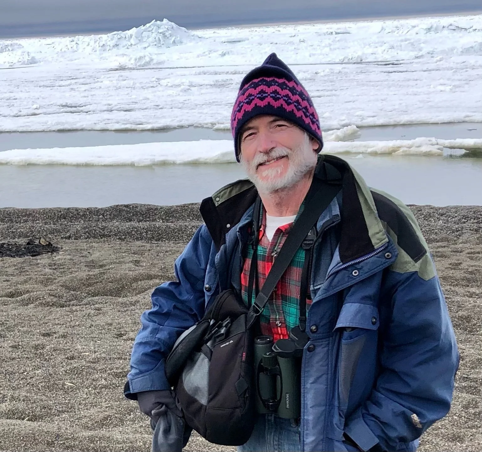 Alaska Birding in June