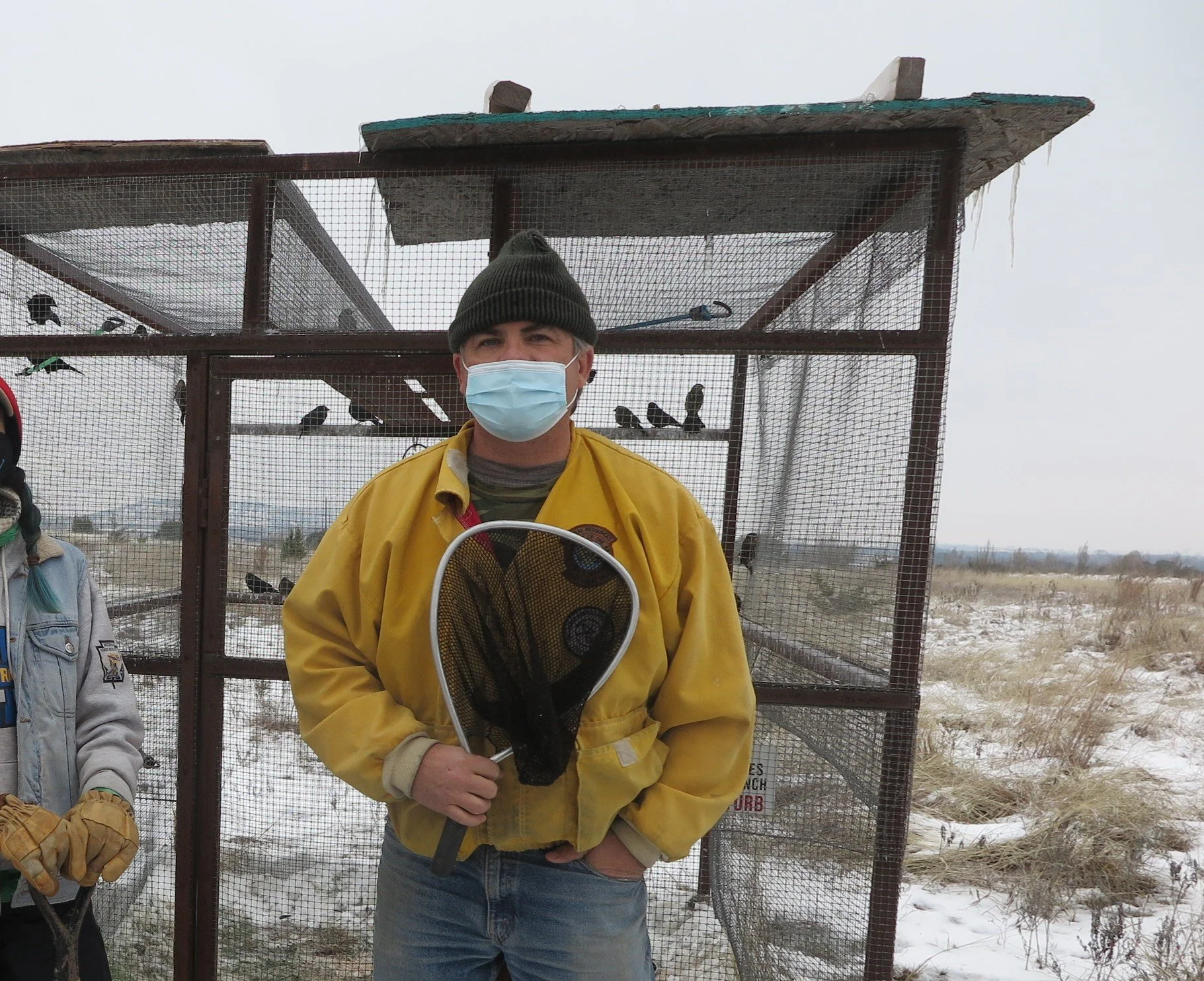 Cowbirds 101 (NEW: Online ONLY)