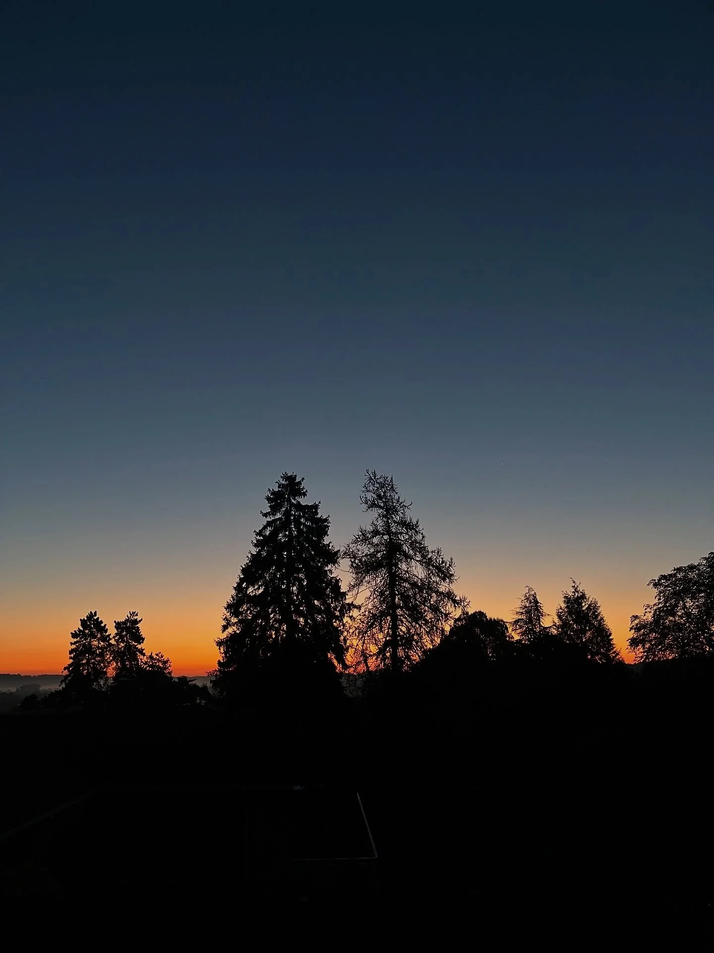 @ #dawn