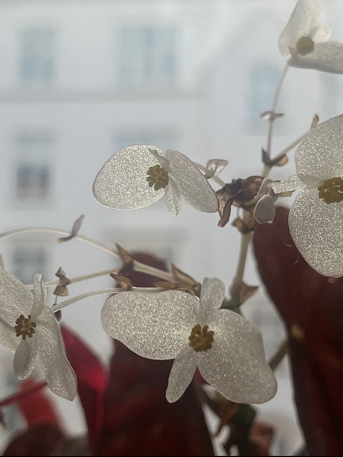 fukkin #sparkly lil bean bags #nature u r th best thing there isssssssssssssss who #designed U