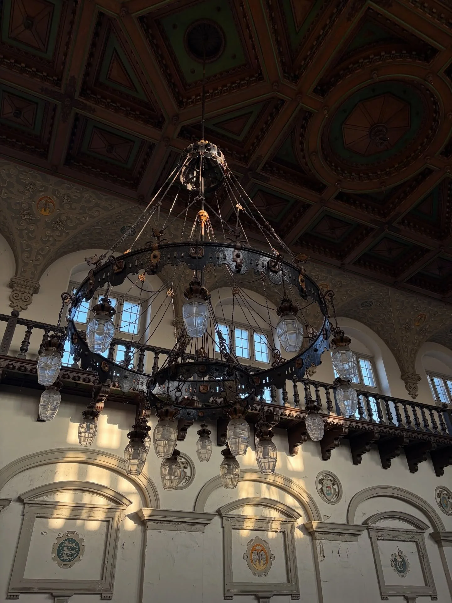 Hang w an #angel plus her new beanbag plus ma fave bike path reopened after being icy AF +++ #sun 
Plus gnarly #seal corpse wtf Wild West out der🦭