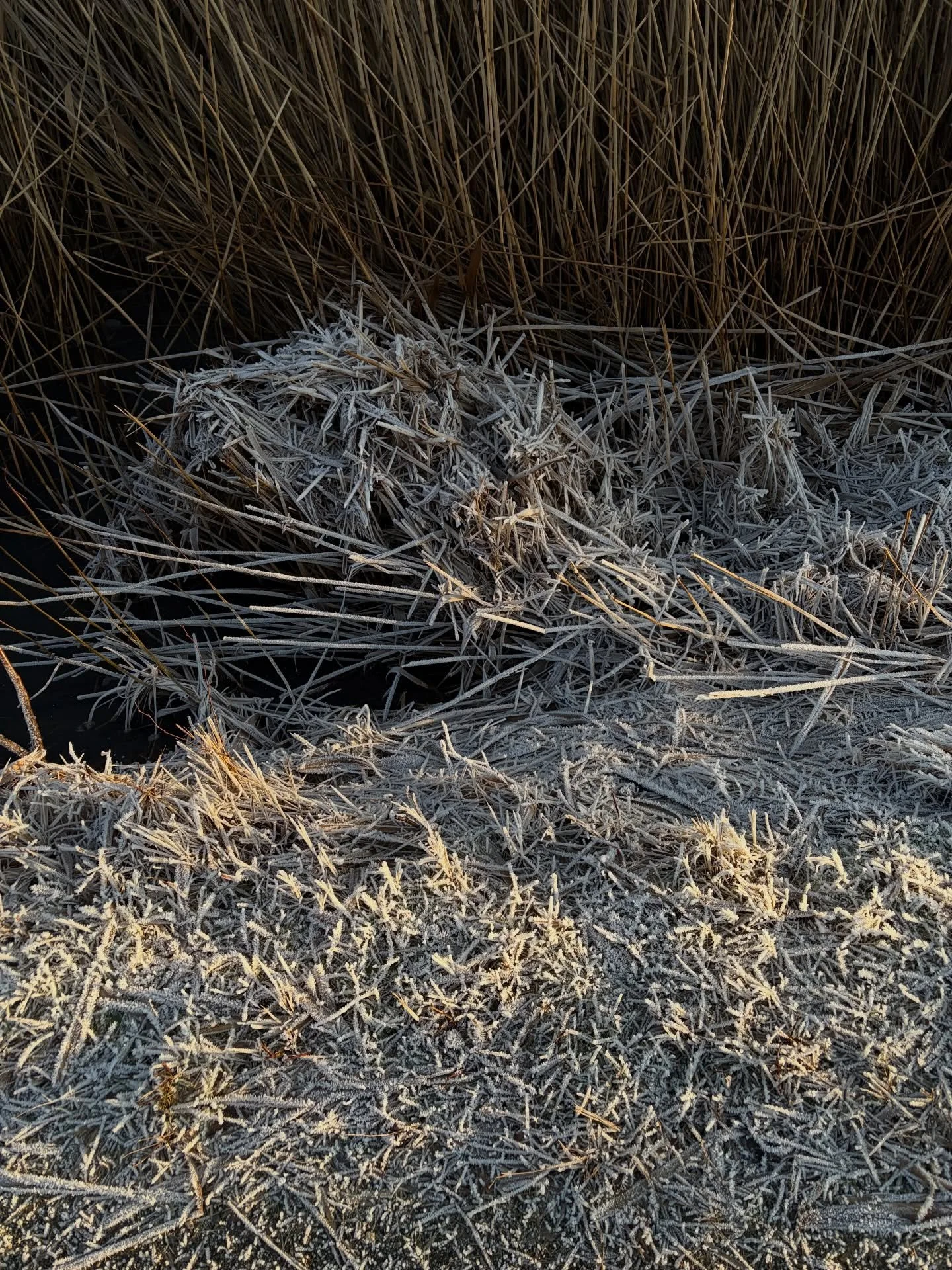 #frosty n #good
:❄️)