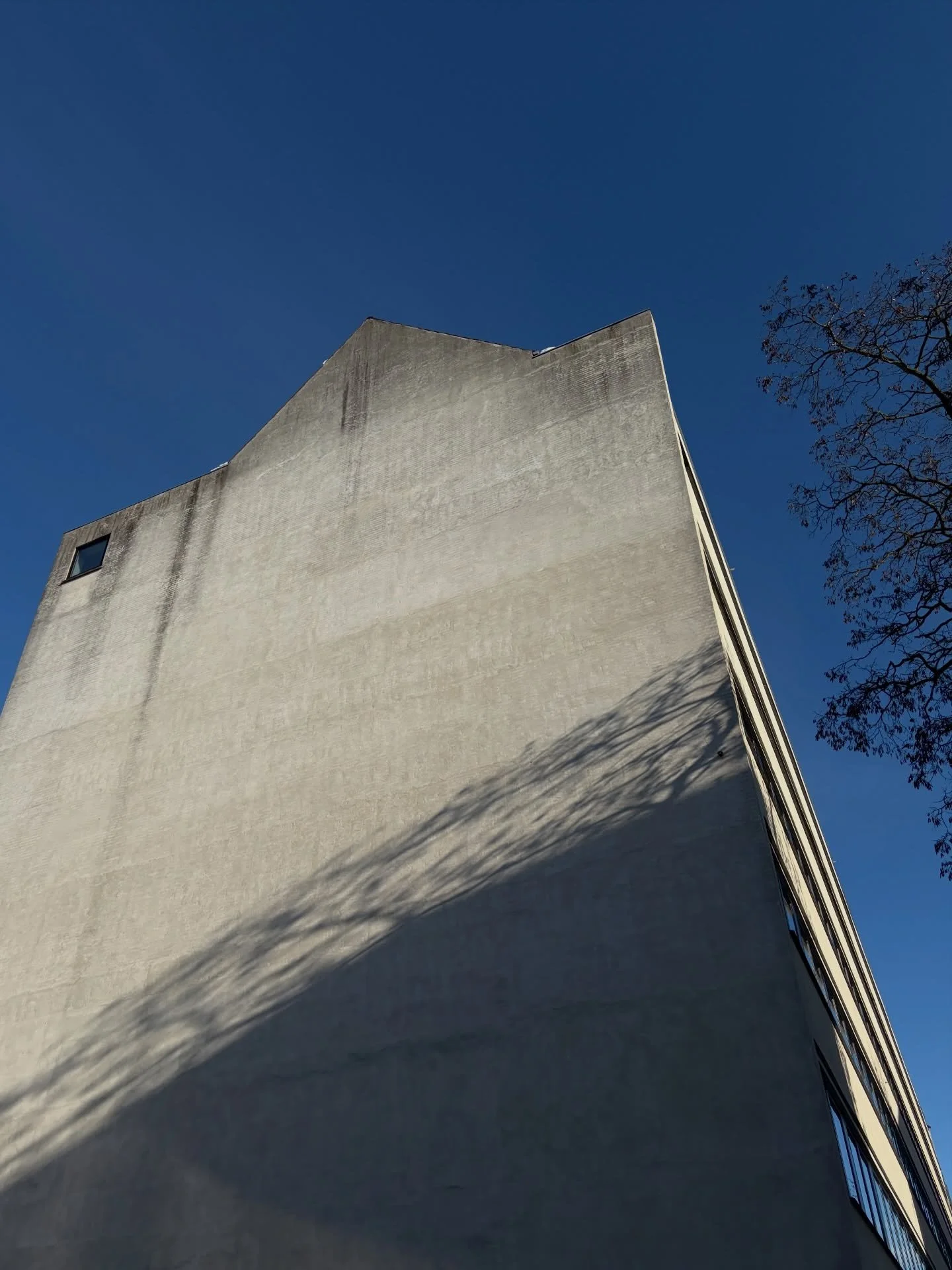 Adulting is #wild literally no-one knows #wtf they&rsquo;re doing 
+ dis beat on repeat in ma braincells These days