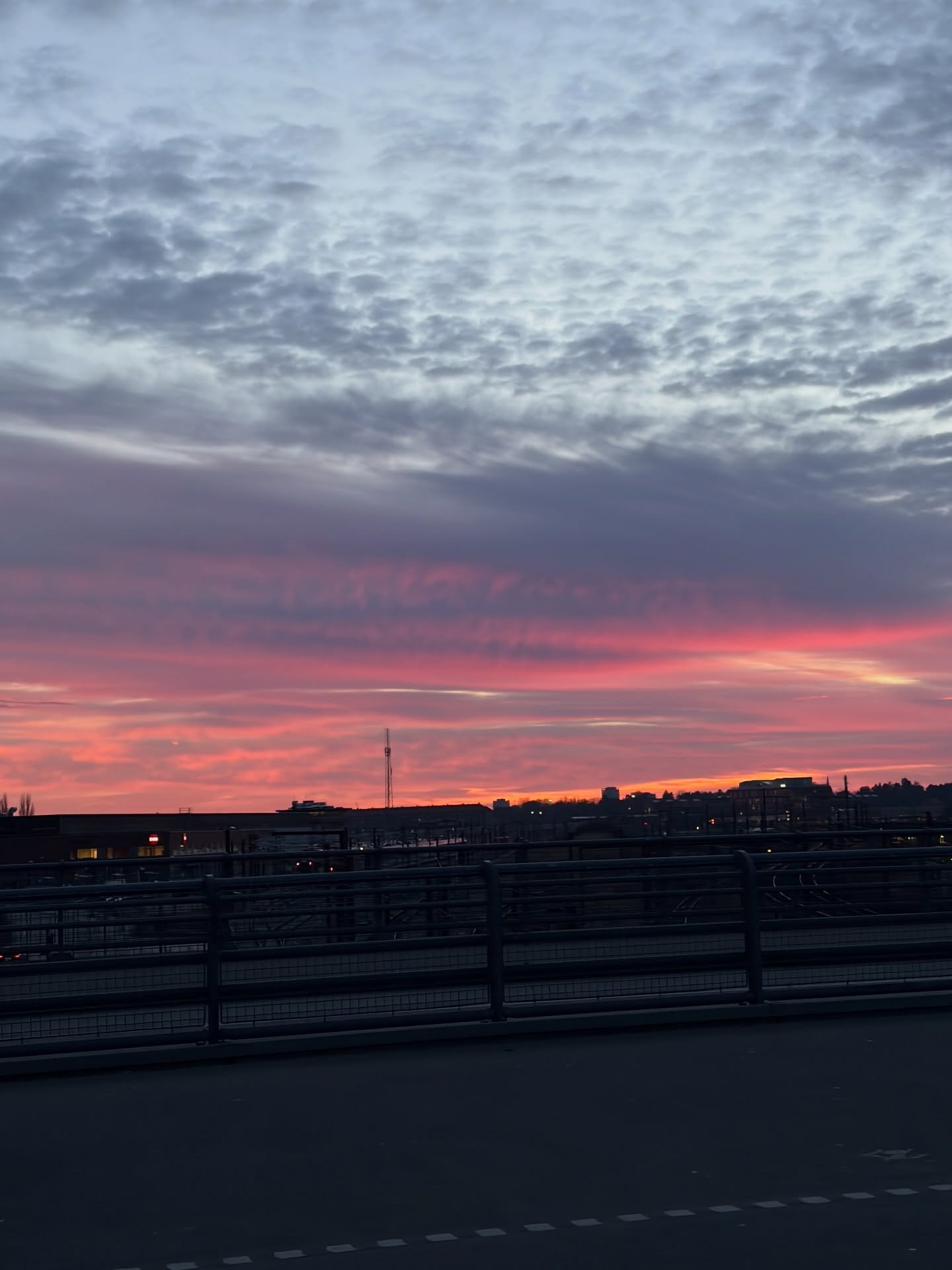 a week on #wheels in overear #headphones since th loser handbag thief stole my headphone case
🎧💀✖️❕

7 day stint culminating more than ever in seeking some kind of stimuli-free ritualistic science-backed injection that connects my brain to my body 