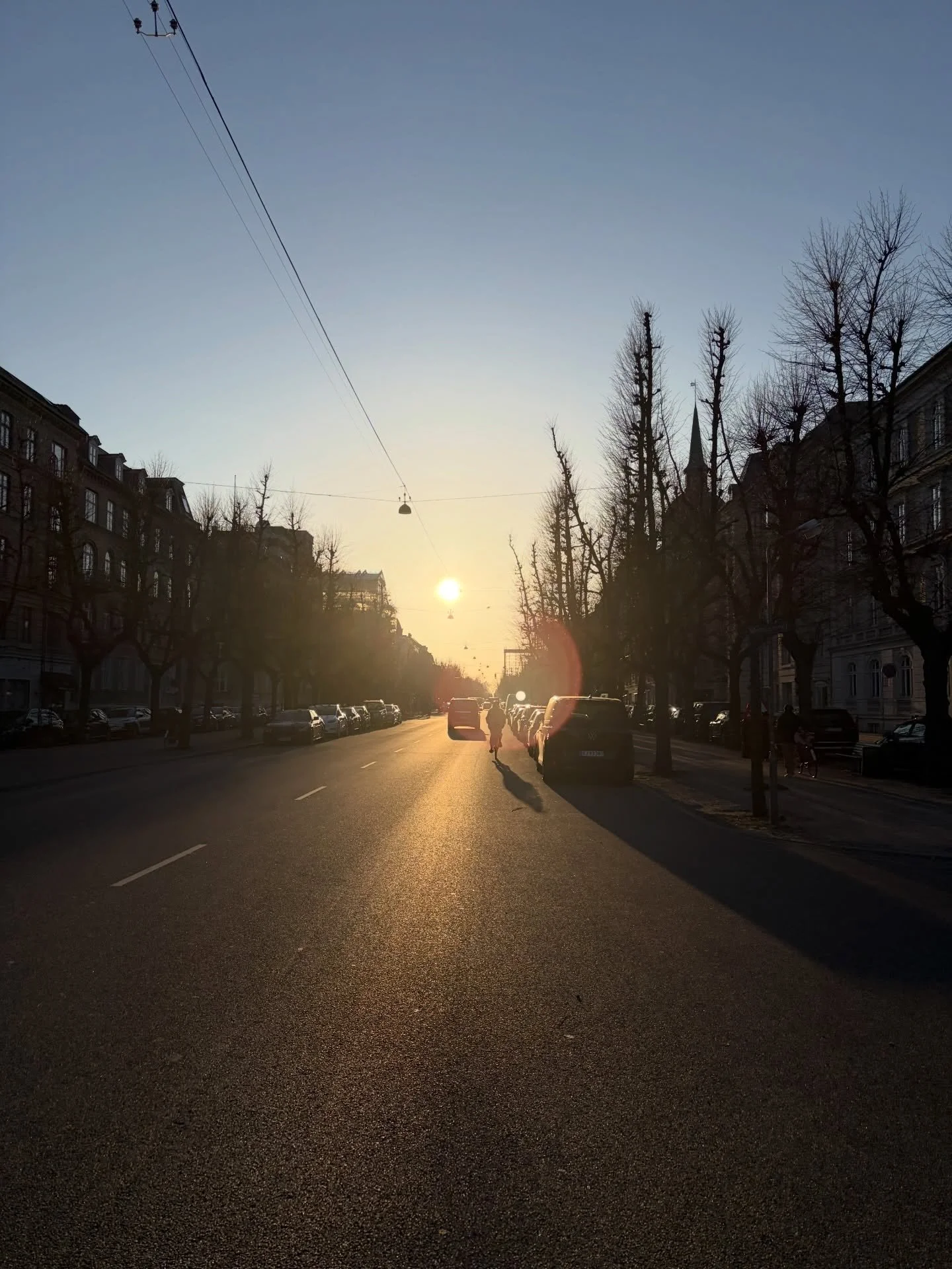 #yesterday v #today 

DK your weather is a #mood as big this lil feathered #grump bucket 

🩵
🪣

#turnthatfrownupsidedown