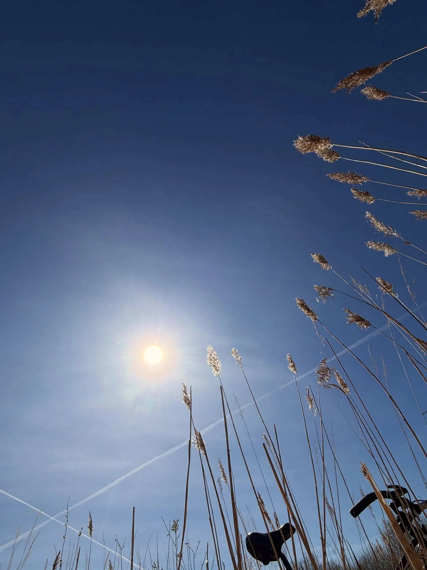 G&rsquo;morn #33 

[ 🎧 erei &mdash; getting harder to breathe 📢🤍❕]