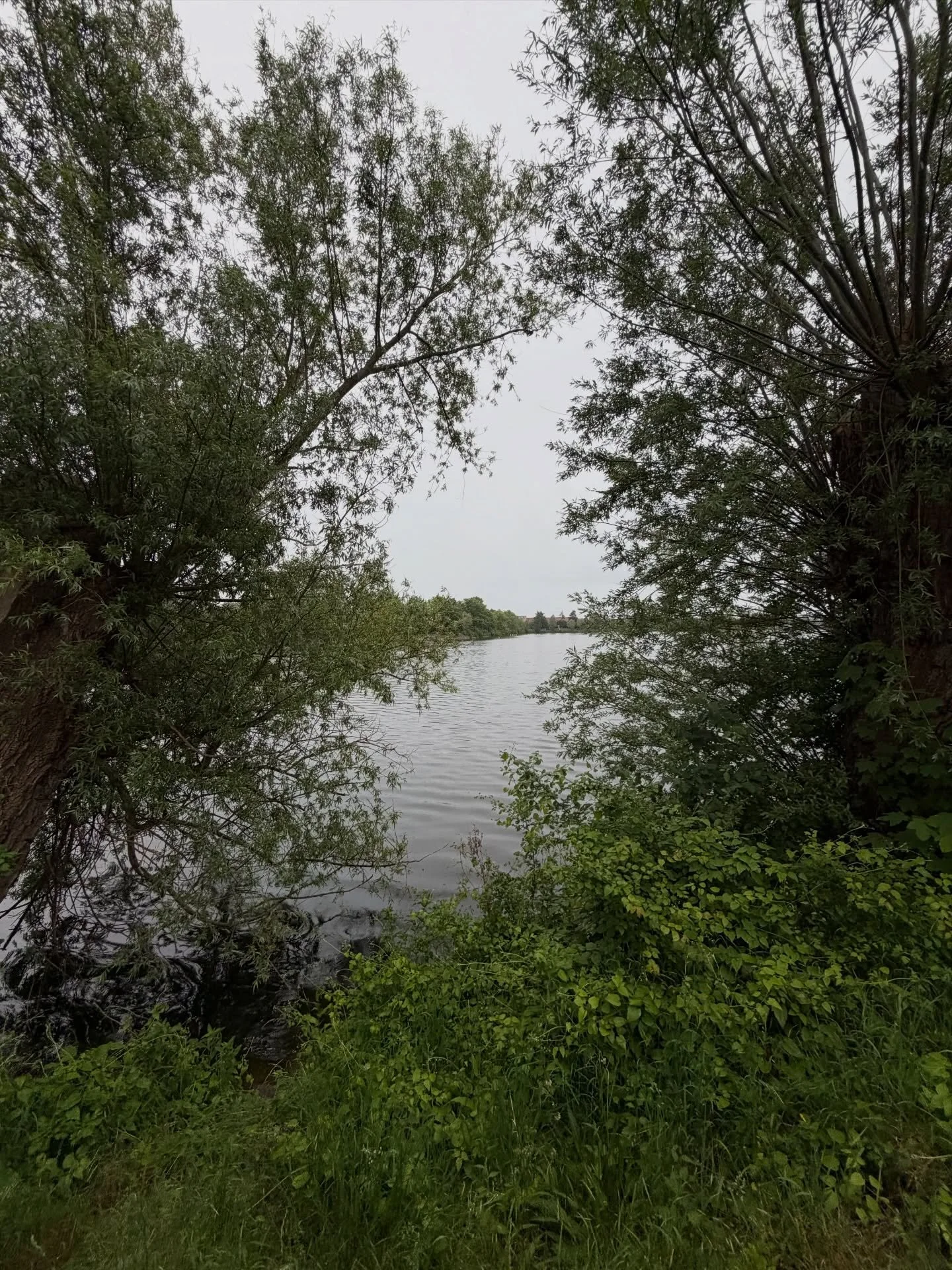 June! #danish #summer

Always this #bike path she grey 

🩵
🌫️
💧
🙆🏼