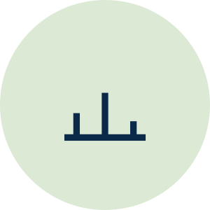 icon principle section