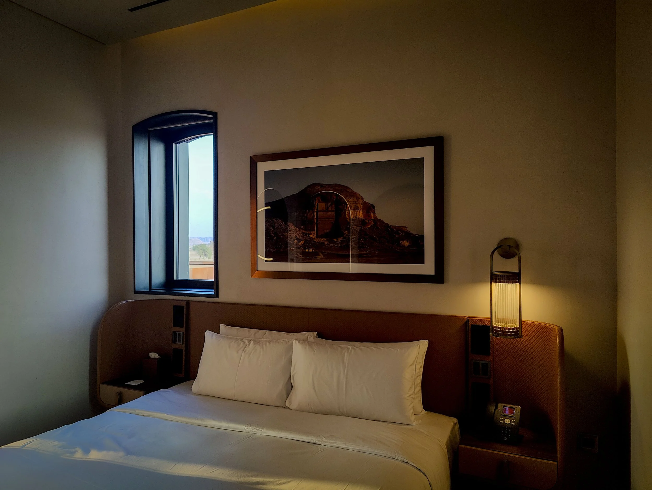 Luxury Hotel Artwork Installation in Saudi Arabia - 300 Works. (2024)