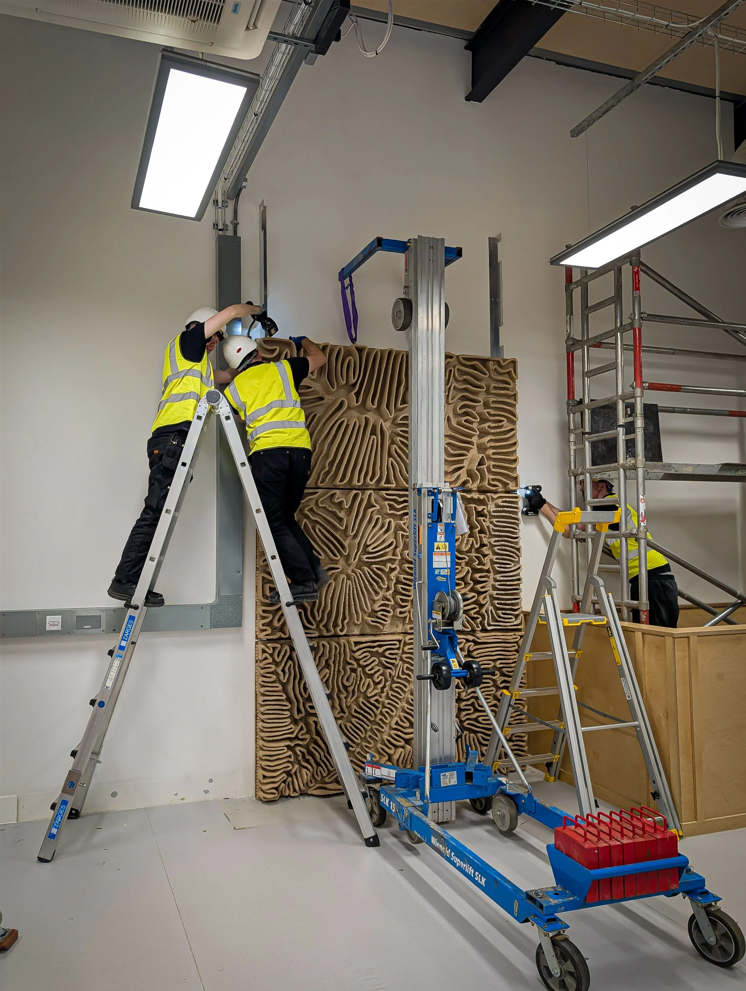 Installation of Calcareous Arabesque at the Bio-Integrated Design Lab, UCL. (2025)