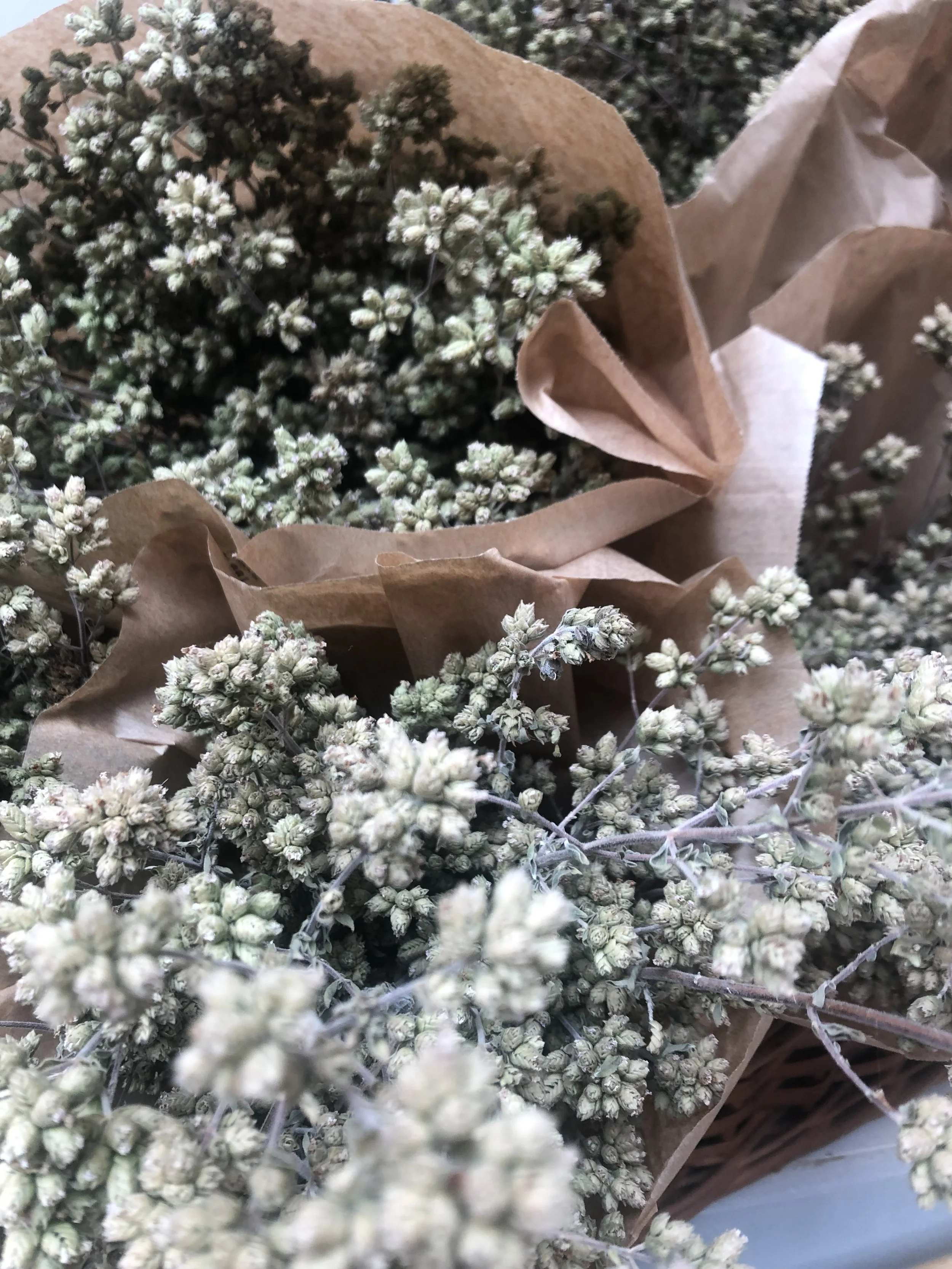 Close-up image of dried small white flowers wrapped in brown paper.
