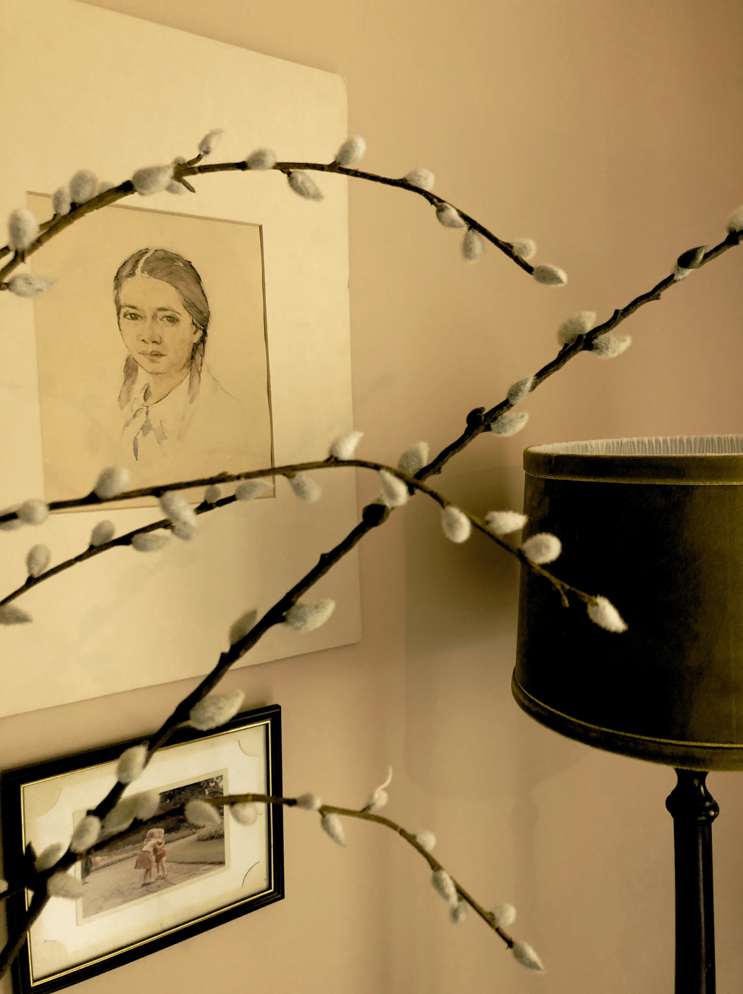 Decorative branches with fluffy buds in front of framed artwork and a lamp on a beige wall.