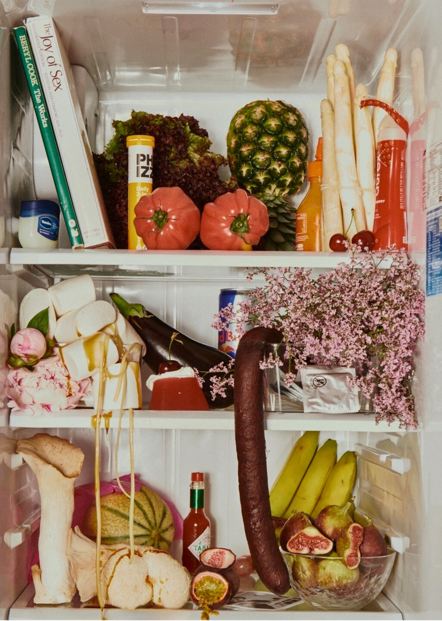 SEX FRIDGE