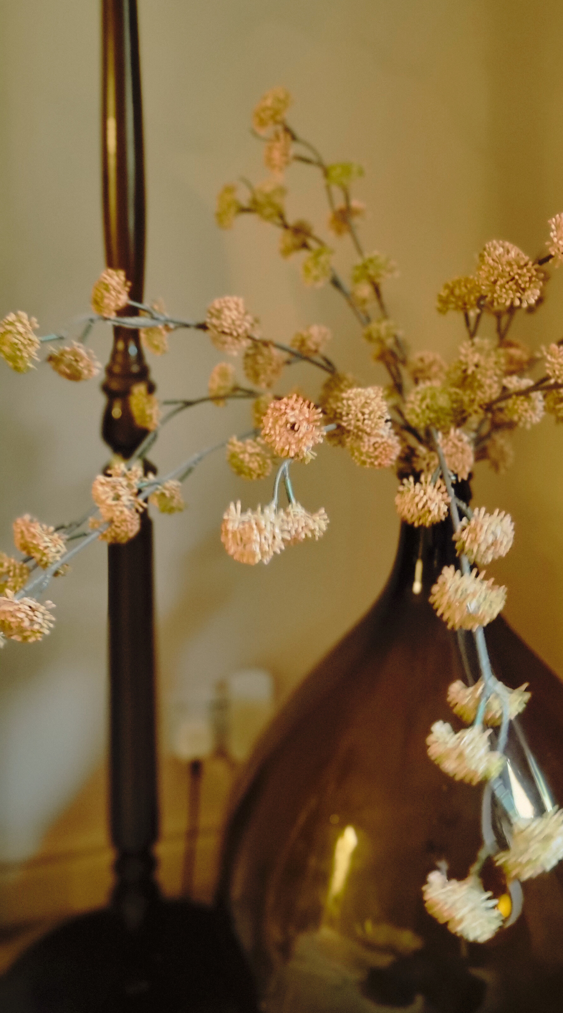 Close-up of pinkish, fuzzy flowers on a branch in a dark vase with a reflective surface.