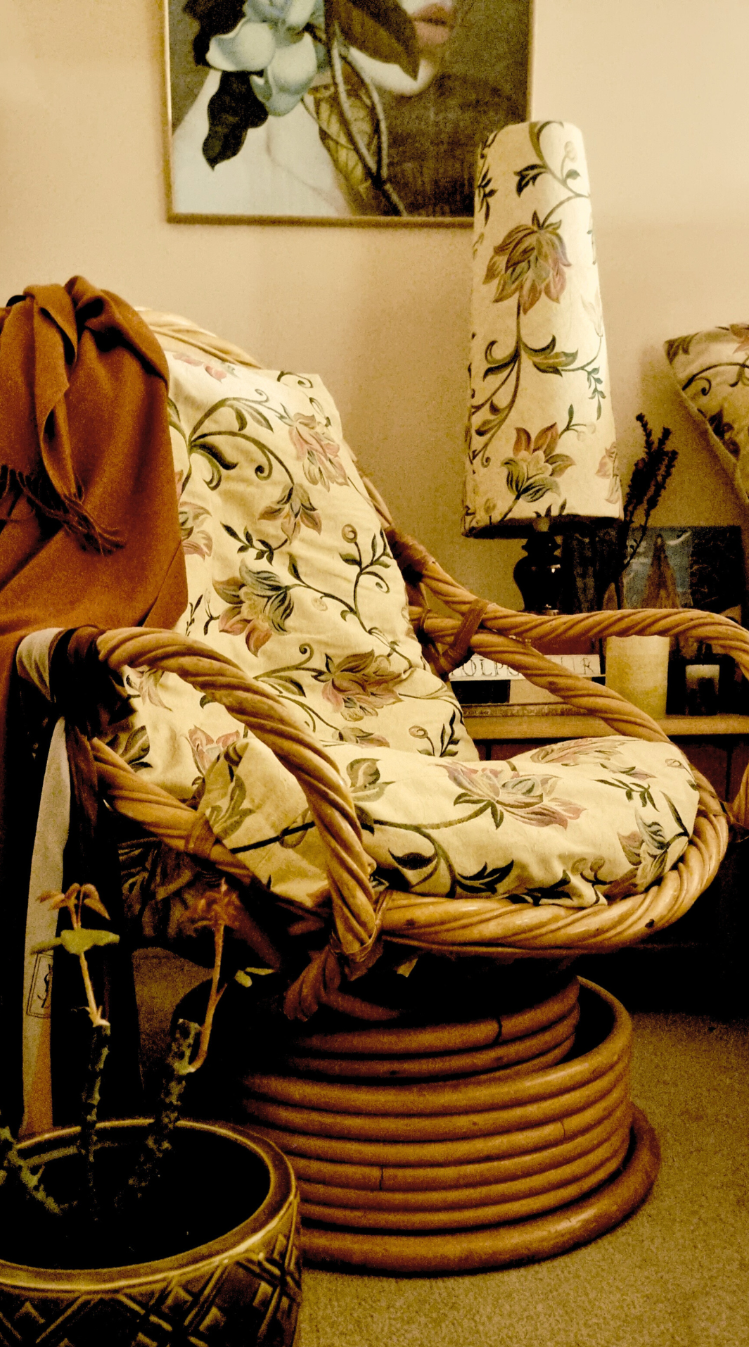 A wicker armchair with floral-printed cushions and a brown cloth draped over the back, next to a small table with a lamp and plants, in a room with a beige carpet and wall art in the background.