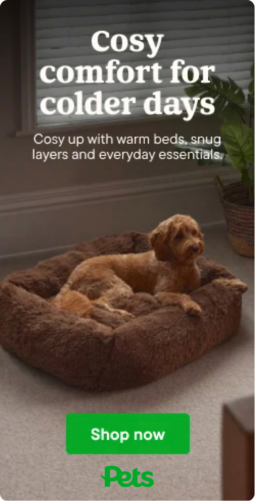 PetsAW26-LauriKingInteriorStylist-Dog-01-v2.png