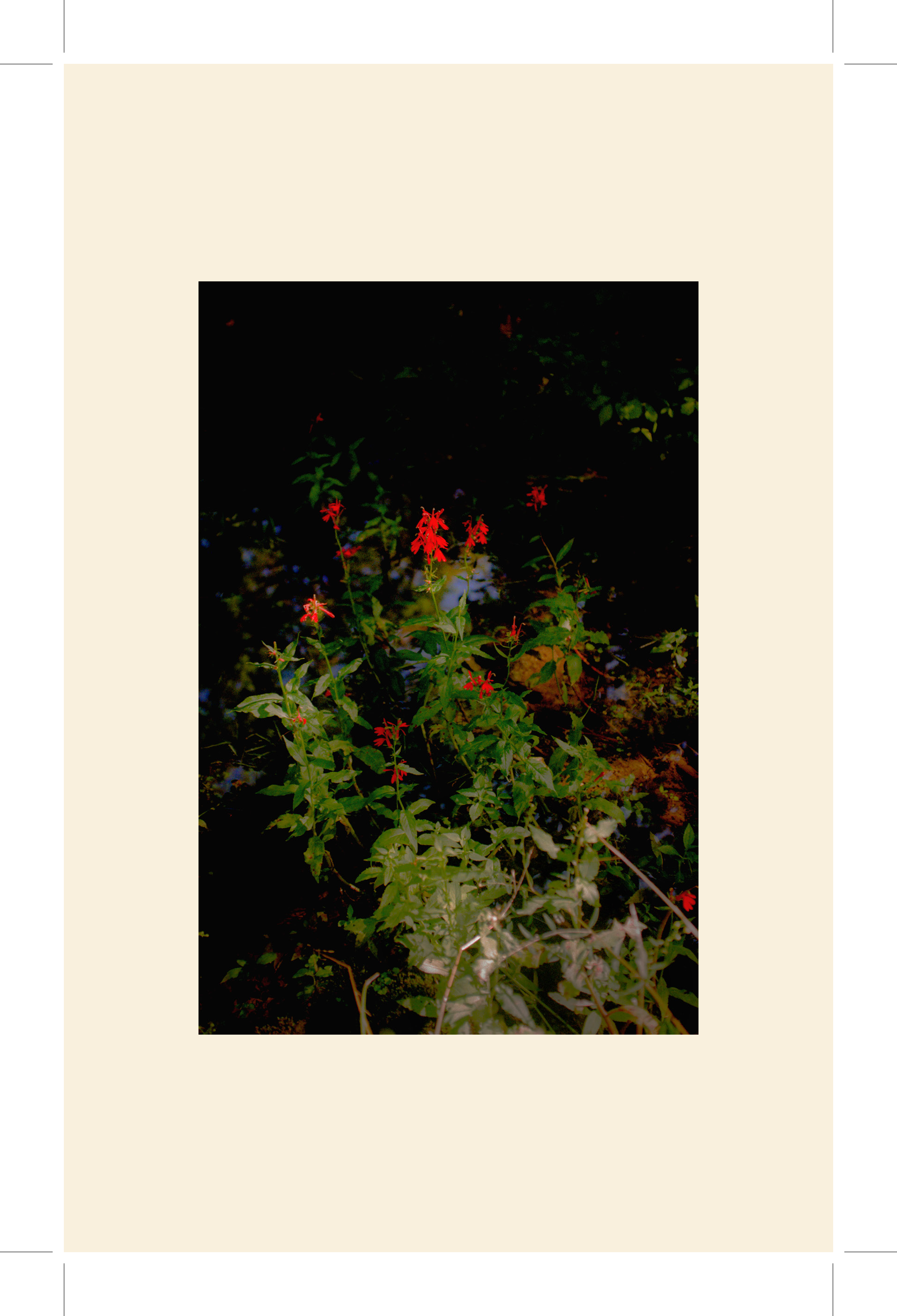 ZINE COMBINE_Page_234.png