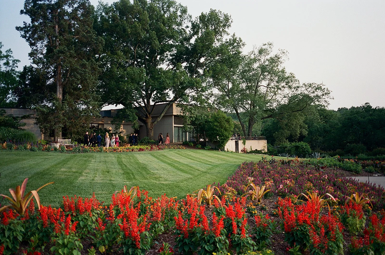 kodak_400_c_41_30393_92077_204364_002031460016.jpg