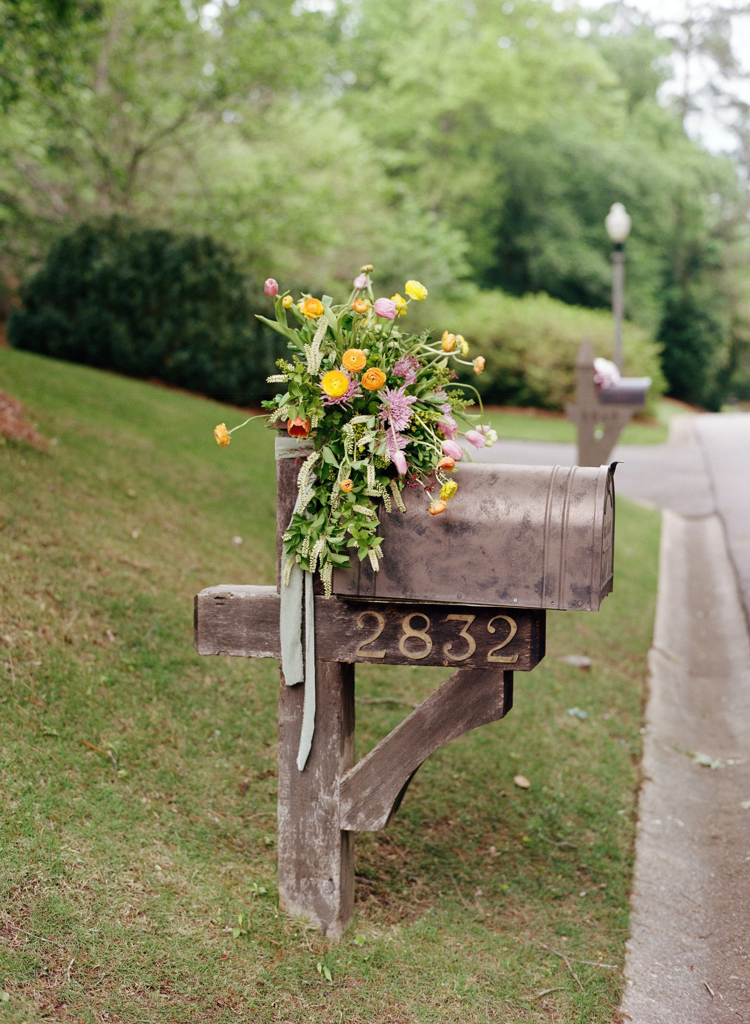 kodak_professional_portra_400_05_02_2025_000228680010.jpg