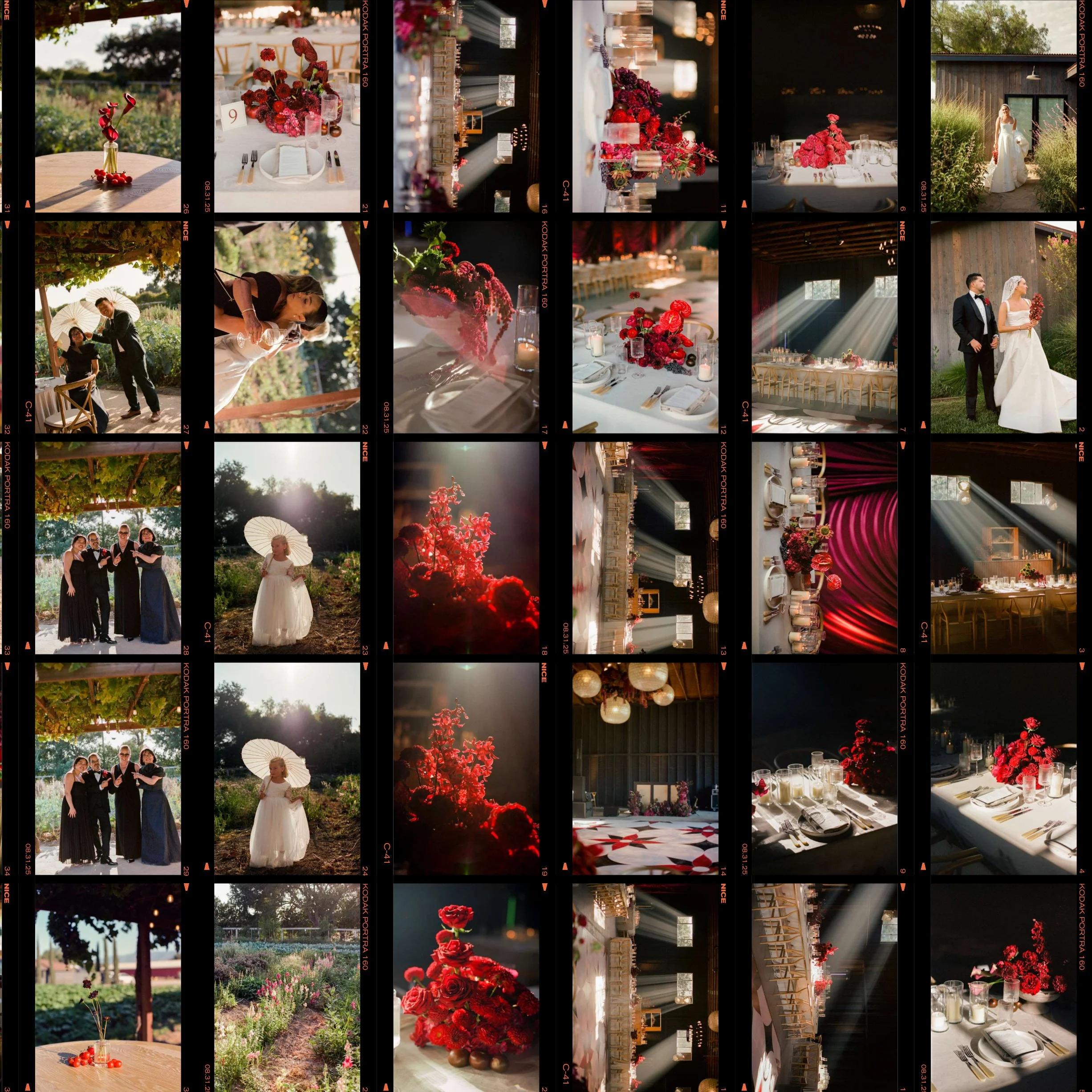 KODAK Portra 160 Contact Sheet.jpg