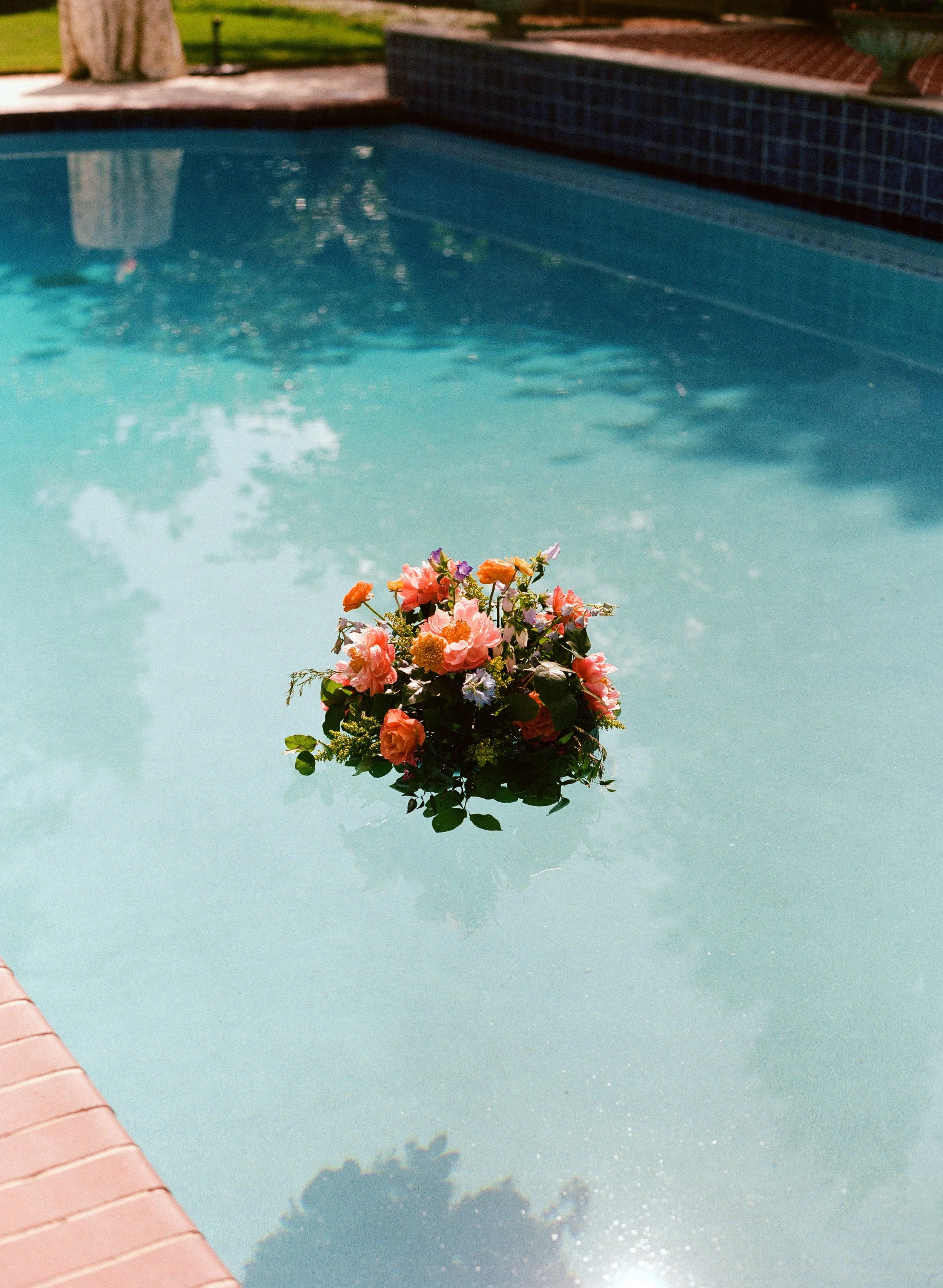 kodak_professional_portra_400_05_02_2025_000228660009.jpg