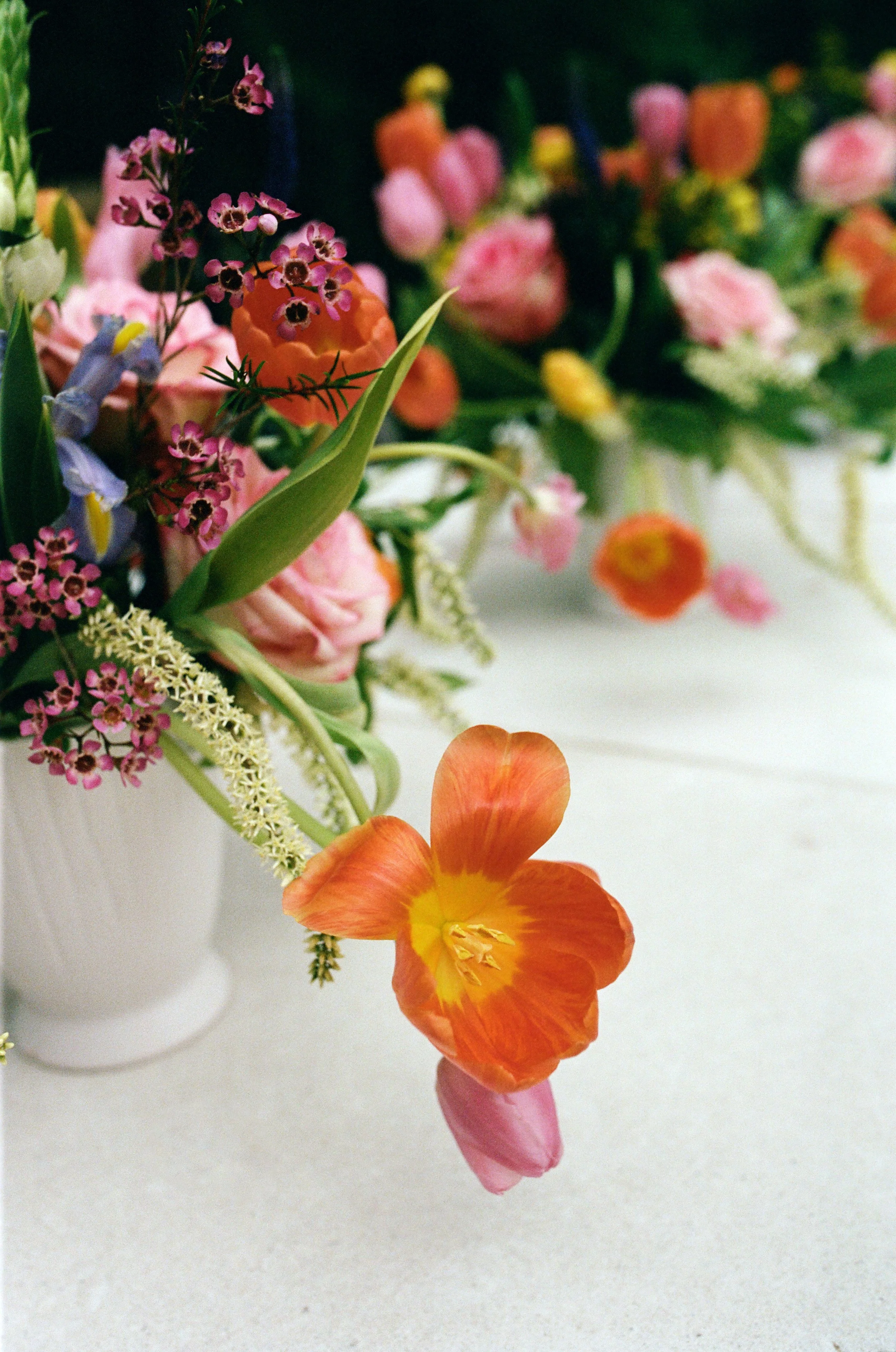 kodak_professional_portra_400_05_02_2025_000459070006.jpg